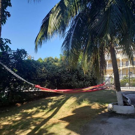 Hill Retreat - Kingston Hotel Екстериор снимка